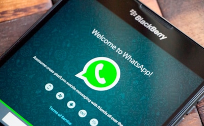 В WhatsApp обнаружили надоедливую уязвимость