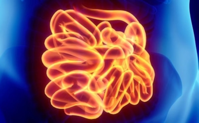 Ученые нашли в теле человека автономный второй мозг