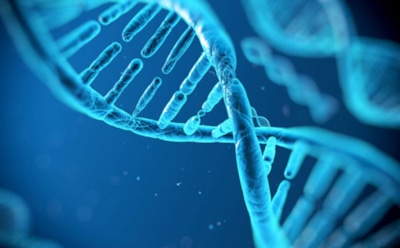 Американские ученые рассказали о механизмах победы над раком