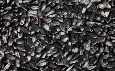 Врачи рассказали, действительно ли семечки грозят аппендицитом