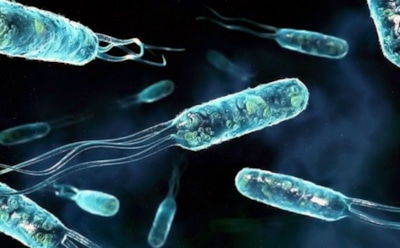 Ученые открыли новый тип инфекции, устойчивой к антибиотикам