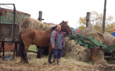 В России депутат приехал на работу на коне и получил повестку в суд