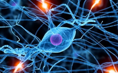 Ученые из США узнали о способе перепрограммирования мозга