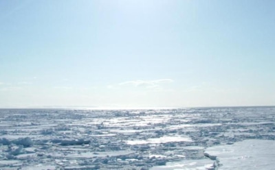 Ученые: Россию ждет климатическая катастрофа