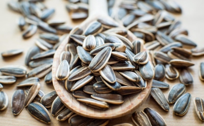 Эксперты назвали полезные свойства семечек