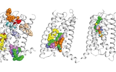 Ученые заявили, что "диета велосипедистов" помогает победить рак