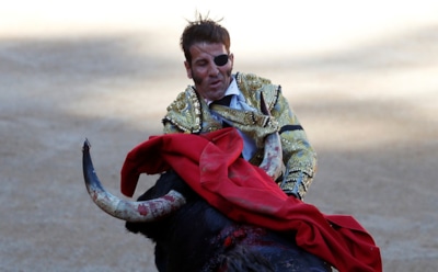 В Испании бык во время корриды содрал скальп с матадора