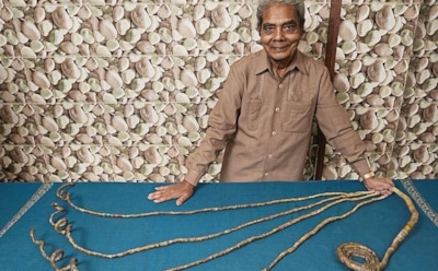 В США отрезаны самые длинные ногти в мире