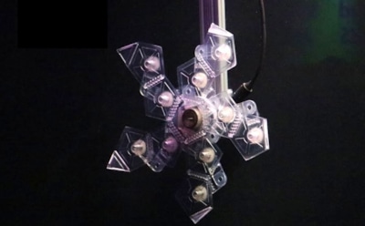 Океанологи создали робота для гуманной подводной ловли