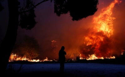 В Греции от лесных пожаров погибли 50 человек