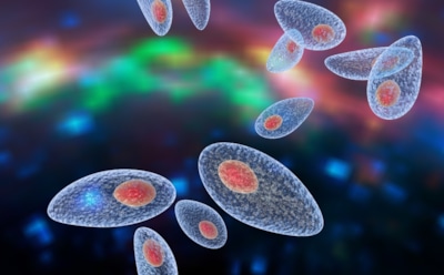 Ученые: заражение паразитами влияет на склонность к бизнесу