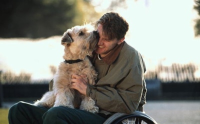 Американец лишился ног и рук после того, как его лизнул пёс