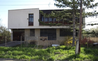 В Словакии женщина 16 лет слушала оперу в отместку за лай собаки