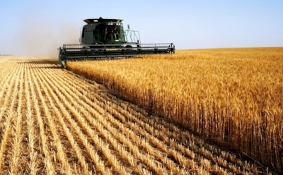 Ученые: здоровое питание опасно для человечества