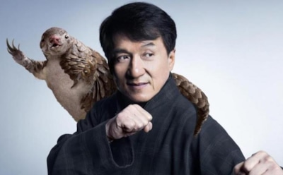 Джеки Чан попал под грязевую лавину на съемках в Китае