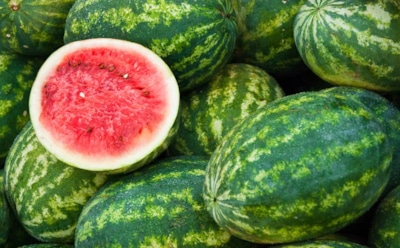 Российские медики призвали не увлекаться арбузной диетой