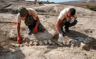 В Крыму нашли скелет древнейшего кита