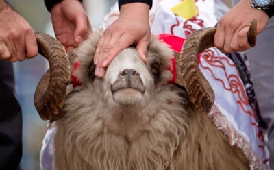 Намаз и жертвоприношения: как Москва отметит Курбан-байрам