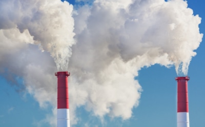 Ученые назвали причину массовой эпидемии слабоумия