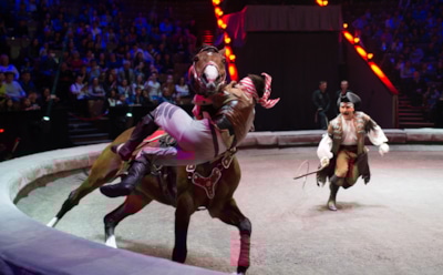 В цирке Воронежа упала конструкция, артисты тяжело травмированы