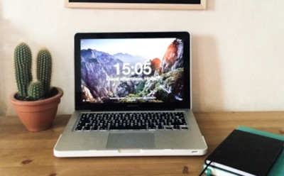 Развеян миф о пользе кактусов возле компьютера