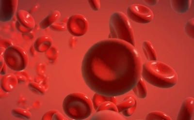 Ученые: пожилым людям продлит жизнь молодая кровь