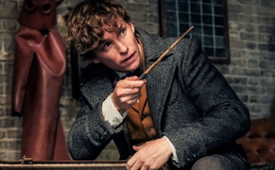 Фанаты раскрыли связь «Фантастических тварей» с Волан-де-Мортом