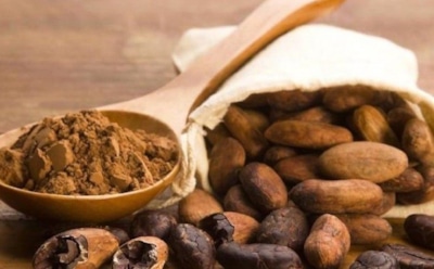 Ученые: какао является источником витамина D2