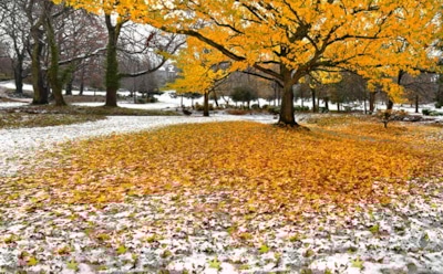 Погода в Москве: синоптики рассказали о потеплении в выходные