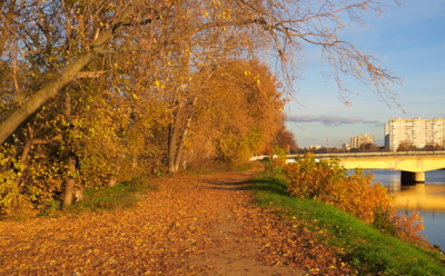 Погода в Москве: синоптики обещали очередное потепление