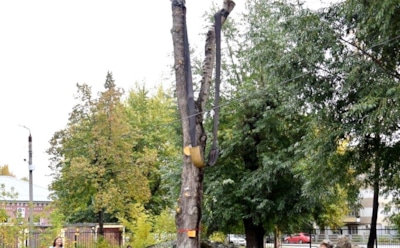 В элитном лицее Челябинска создали "памятник хулиганству"