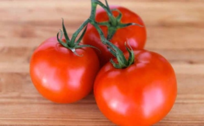 Ученые: ежедневное употребление помидоров способствует долголетию