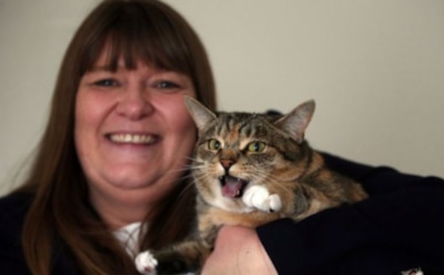 В Англии кошка помогла хозяйке диагностировать рак