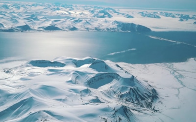 Ученые: изменения в Арктике уничтожат целые виды животных