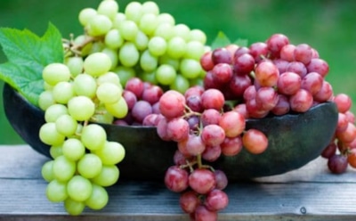 Эксперты: виноград защищает от кариеса