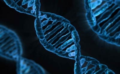 Ученые научились предсказывать по генам время смерти человека