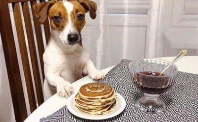 IKEA обвинили в сексизме из-за сравнения женщины с собакой