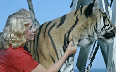 Фильм "Полосатый рейс": актеры и судьба