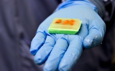 Ученые нашли новое лекарство от ботулизма