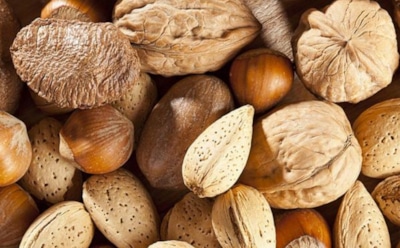 Ученые: орехи препятствуют набору веса