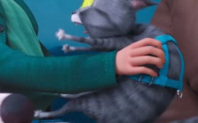 Вышел трейлер "Тайной жизни домашних животных 2"