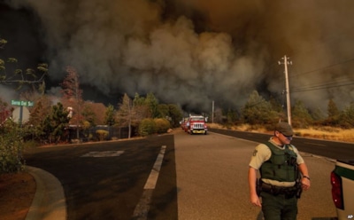 Голливудские звезды массово покидают дома в Калифорнии из-за лесных пожаров