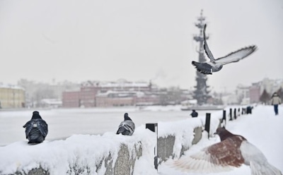 Погода в Москве: синоптики рассказали о снеге на выходных