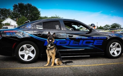 Поминальную церемонию по собаке-офицеру провели в храме США