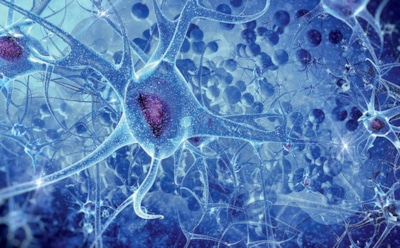 Опасные белки-прионы обнаружены в глазах людей