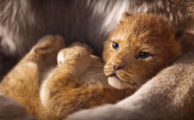 Вышел тизер ремейка мультфильма «Король Лев» от Disney