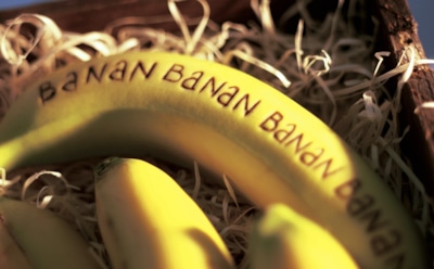 В польских магазинах среди бананов нашли 170 кг кокаина