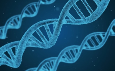 Ученый из Китая заявил, что изменил ДНК человека