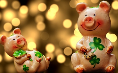 Год Желтой Свиньи. Каким будет 2019 год?