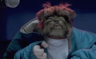 "Вечерний Ургант" выпустил "собачий дисс" на Волочкову